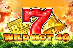 Wild Hot 40 Christmas